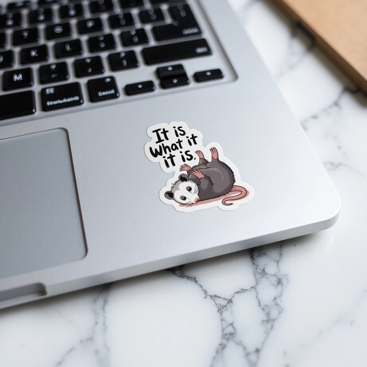 It Is What It Is Cute Opossum Laptop Sticker product