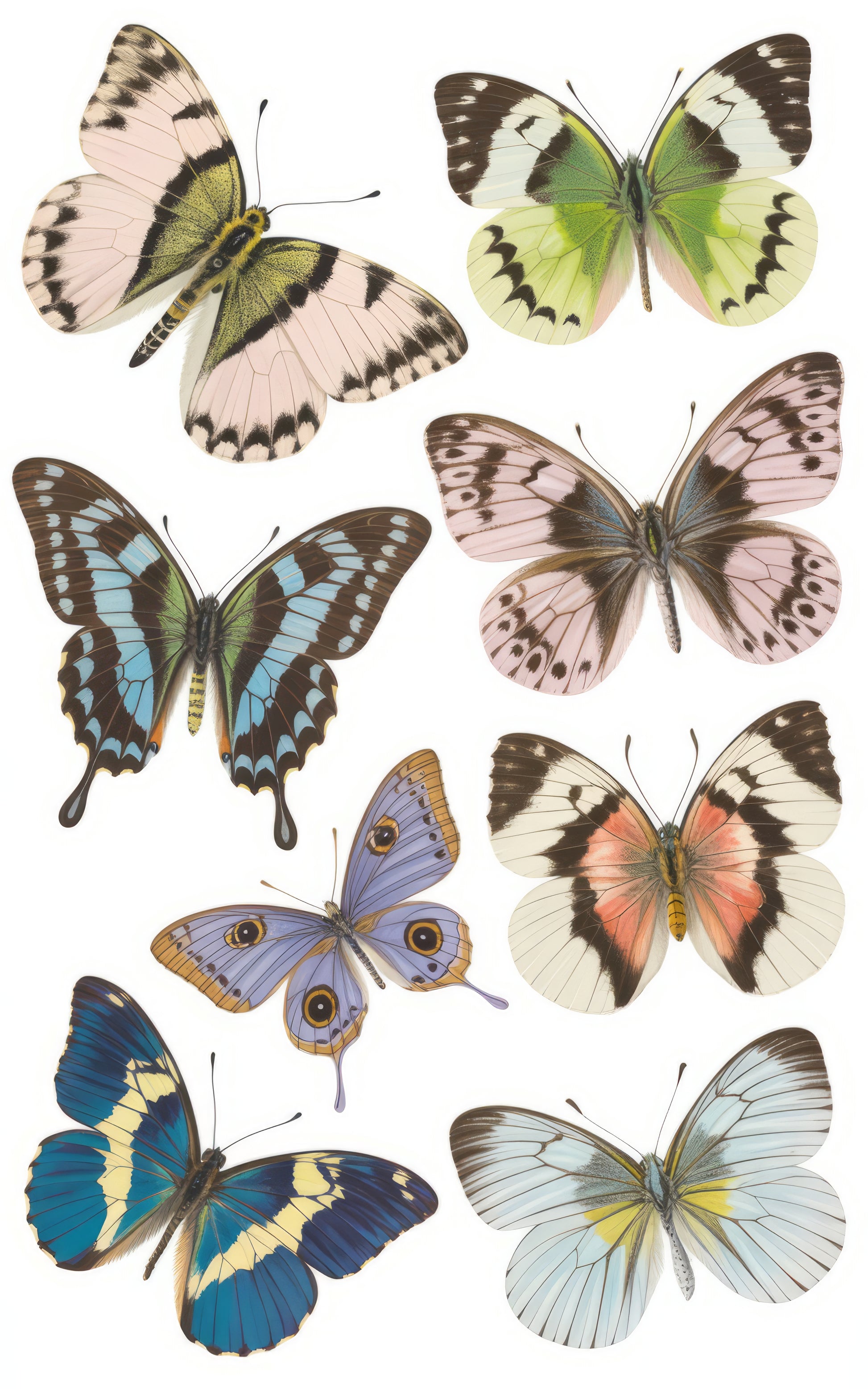 Vintage Butterfly Illustration Poster, Colorful Butterfly Wall Art, Nature Inspired Home Decor, Entomology Print Collection