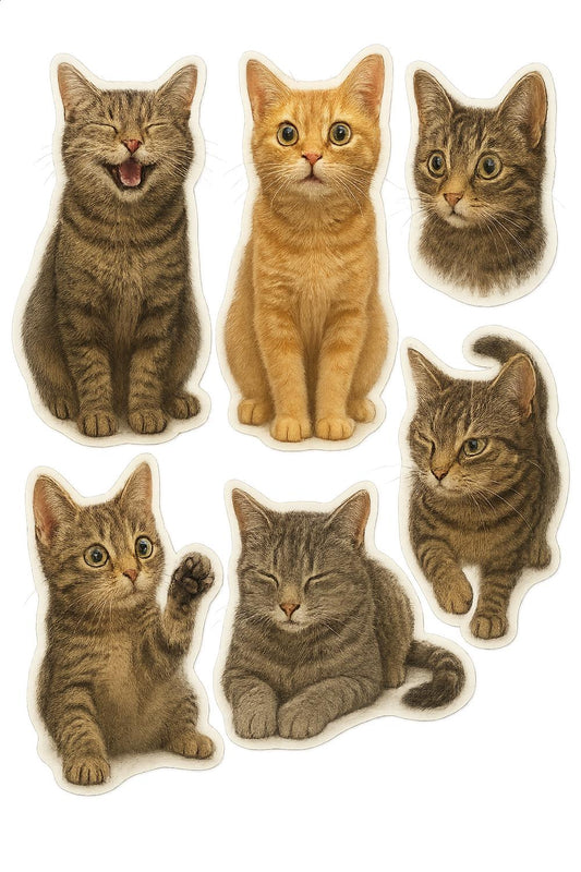 Cat Stickers Set, Cute Kitten Decals, Assorted Cat Breeds, Realistic Feline Illustrations, Pet Lover Gift, Scrapbooking Supplies