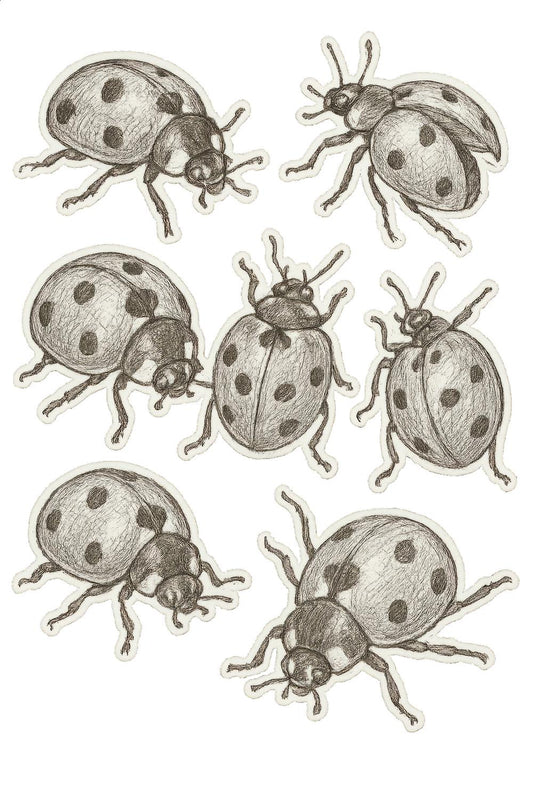 Vintage Ladybug Illustration Art Print, Antique Style Beetle Drawing, Nature Inspired Wall Decor, Insect Artwork for Home