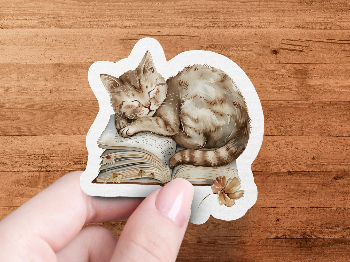 Adorable Sleeping Cat on Book Vinyl Sticker product type