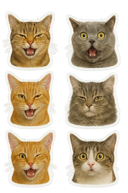 Cat Face Stickers Set, Cute Funny Cats Expression Decals, Multi-Breed Cat Lover Gift, Pack of 6
