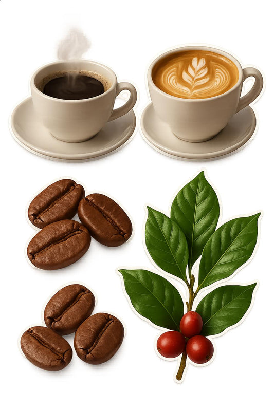 Coffee Art Print, Latte Art Poster, Coffee Beans Illustration, Kitchen Decor, Cafe Wall Art, Barista Gift Ideas, Espresso Print