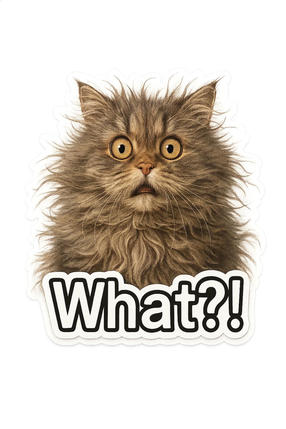 Funny Cat Sticker, Grey Persian Cat Meme, Cute Feline 'What?!' Expression, Laptop Decal, Water Bottle, Kawaii Cat Art