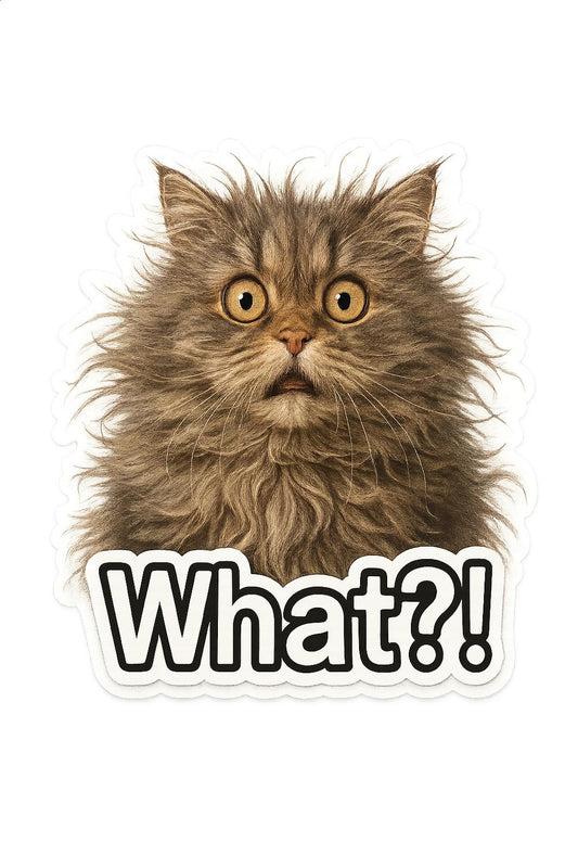 Funny Cat Sticker, Grey Persian Cat Meme, Cute Feline 'What?!' Expression, Laptop Decal, Water Bottle, Kawaii Cat Art