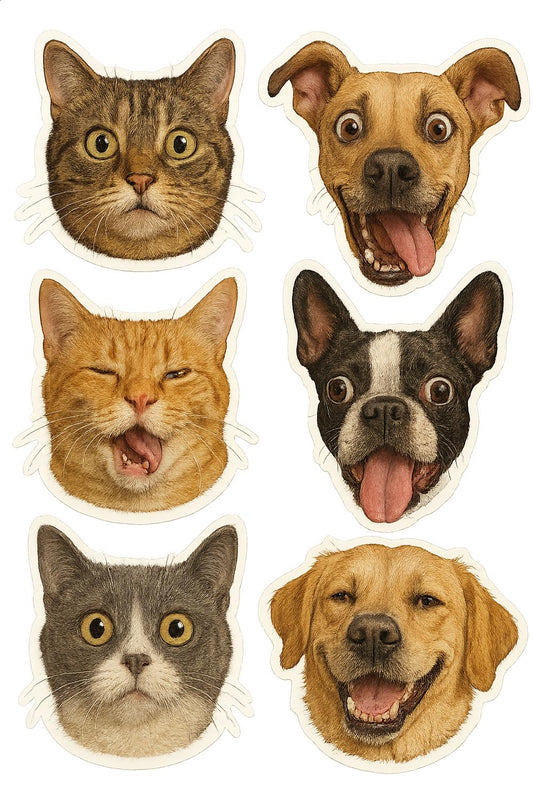 Funny Cat and Dog Faces Stickers Set, Cute Pet Facial Expressions Decals, Animal Lovers Gift Idea