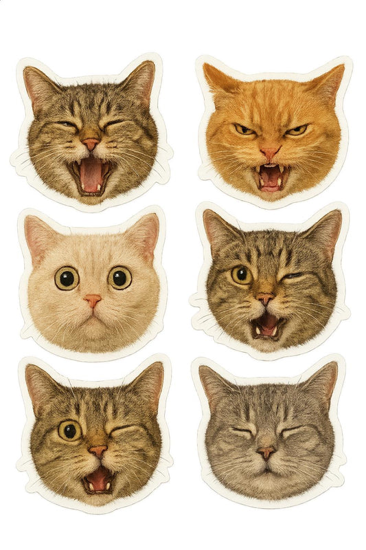 Set of 6 Cat Face Stickers, Funny Expressive Cat Decals, Cute Kitten Sticker Pack for Laptops and Journals