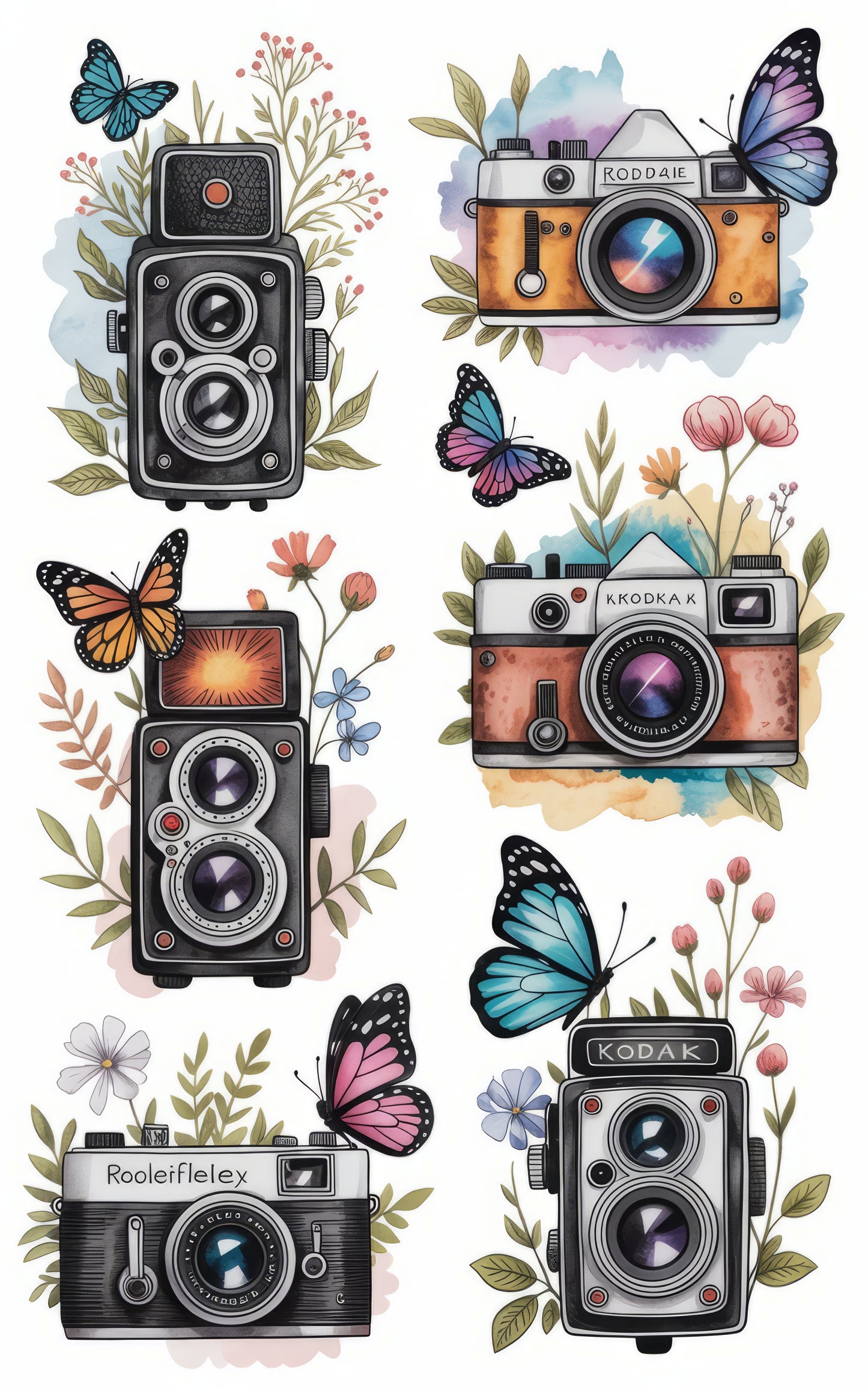 Vintage Camera and Butterfly Art Prints, Classic Photography Wall Decor, Colorful Nature Illustrations