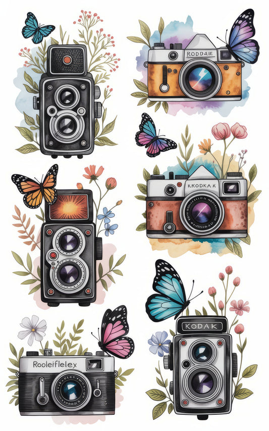 Vintage Camera and Butterfly Art Prints, Classic Photography Wall Decor, Colorful Nature Illustrations