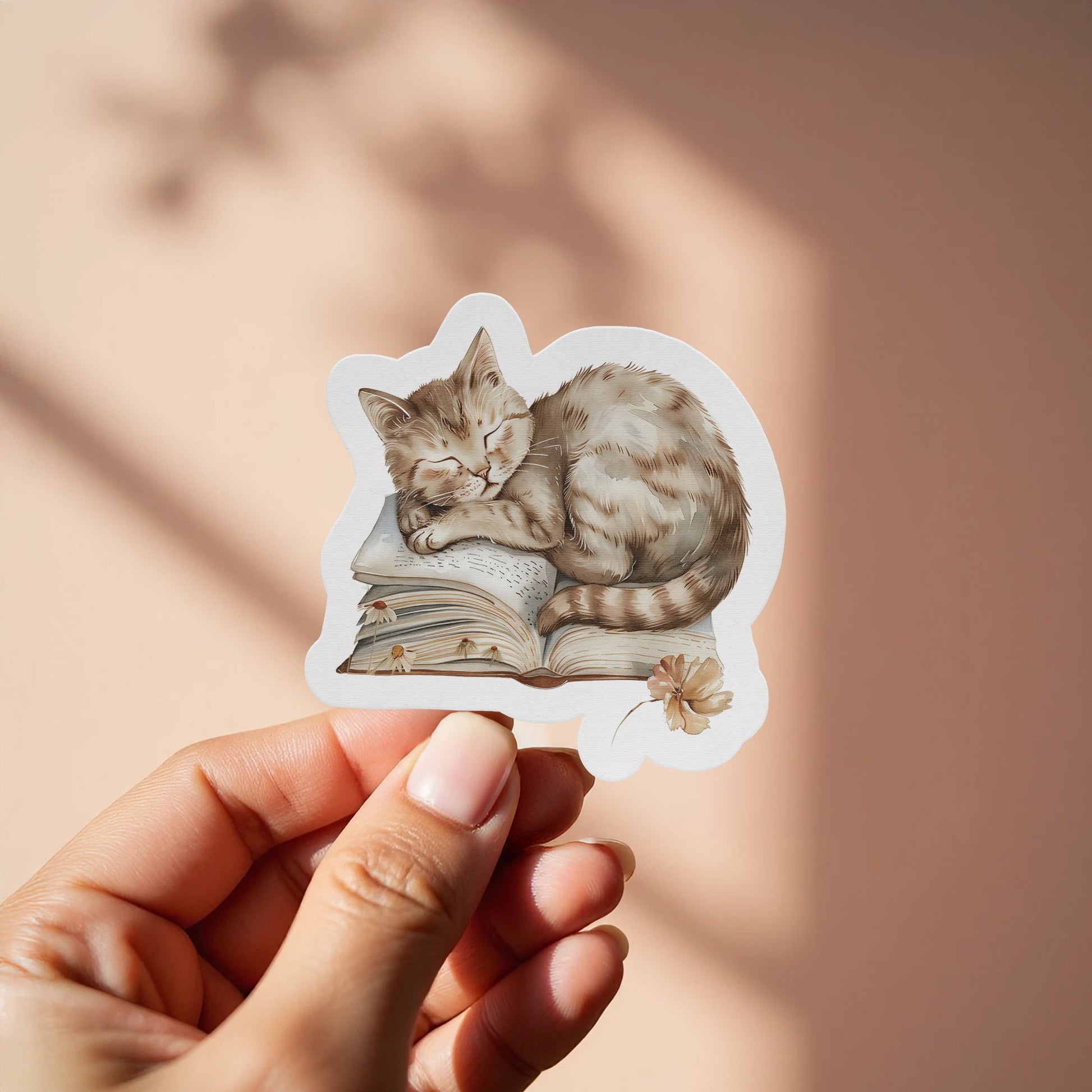 Cute Sleeping Cat Illustration Sticker product