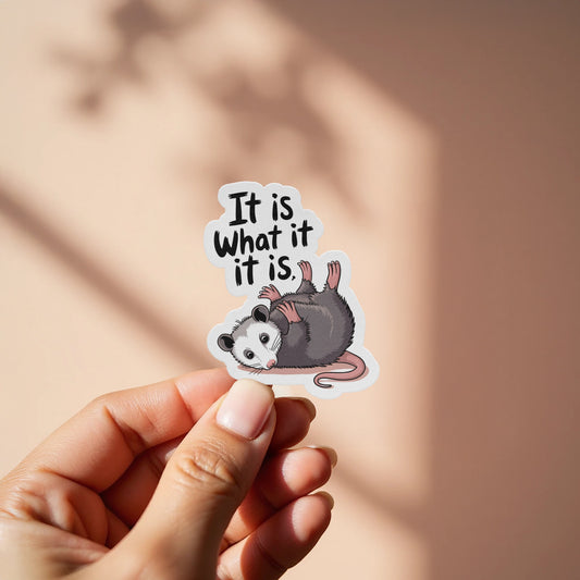 Cute Opossum It Is What It Is Sticker product type